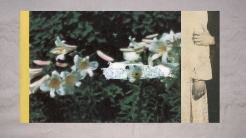 European Audience Favorites 1